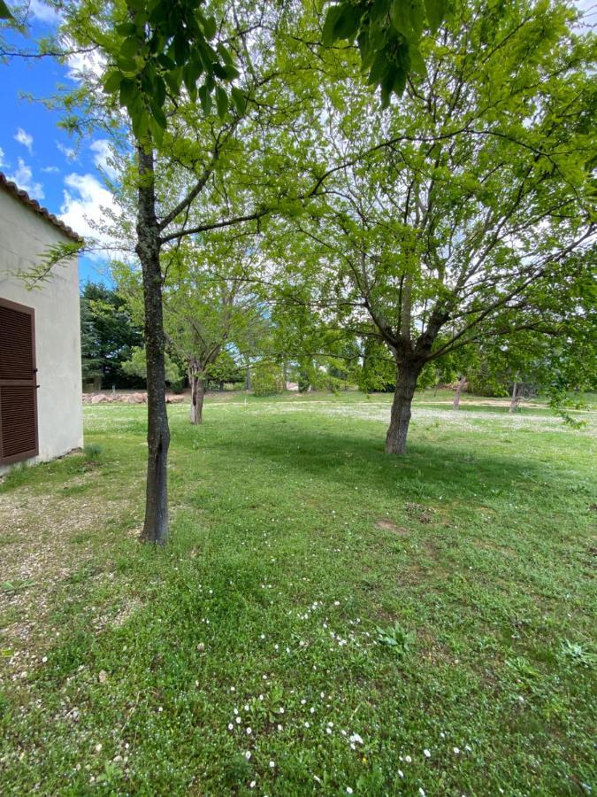 Villa Raffinee, Parc Cloture, 4000M2, Piscine 5X10 Blauzac  Екстер'єр фото